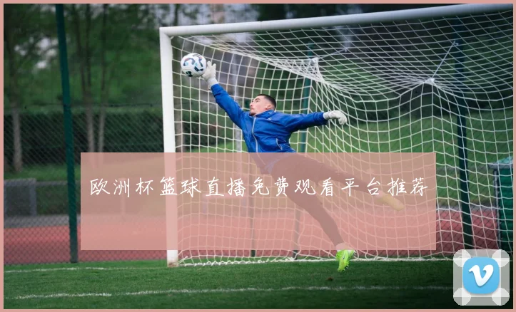 欧洲杯篮球直播免费观看平台推荐