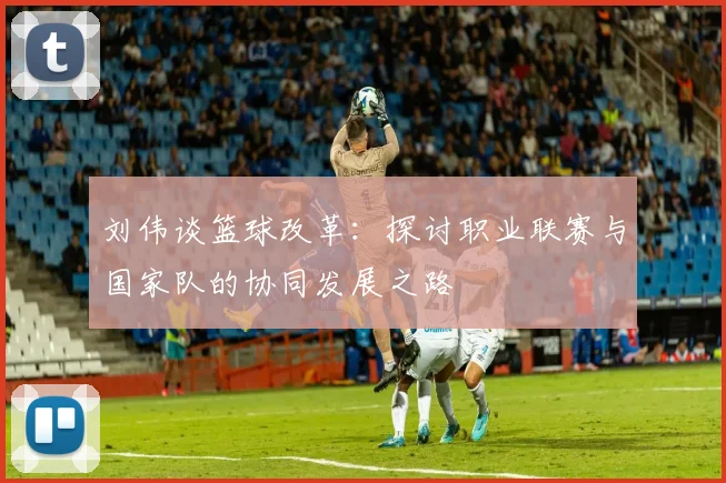 刘伟谈篮球改革：探讨职业联赛与国家队的协同发展之路